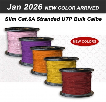 Jan 2026 New Spec thumbnail