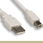 USB 2.0 A Male / B Male Cable Beige Color