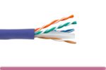 Cat. 6 CMR UTP Solid Ethernet Bulk Cable 550MHz Purple