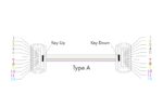 MPO OM4 Multi-Mode 12 Fibers Trunk Cable Type A - Image 5