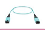 MTP® OM4 Multi-Mode 12 Fibers Trunk Cable Type A - Image 2
