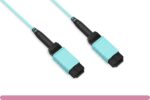 MTP® OM4 Multi-Mode 12 Fibers Trunk Cable Type B