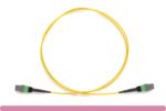 MTP® OS2 Type-B Single-Mode 12 Fibers Trunk Cable F/F - Image 3