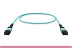 MPO OM4 Multi-Mode 12 Fibers Trunk Cable Type A - Image 2