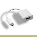 USB 3.1 Type C to DisplayPort Adapter