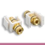 Black Banana F/F keystone Insert Module