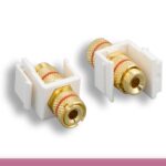 Red Banana F/F keystone Insert Module